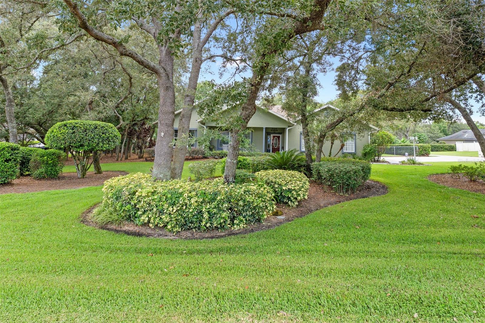 SPRING PINES - Residential