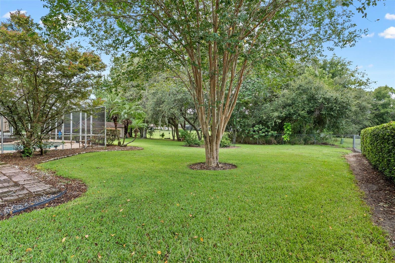 SPRING PINES - Residential