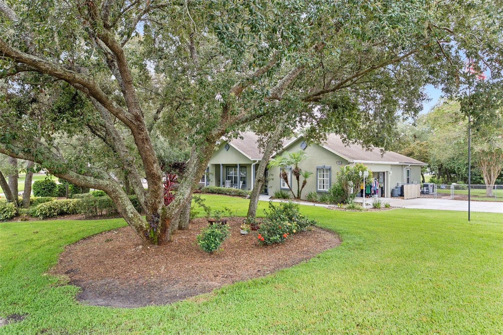 SPRING PINES - Residential