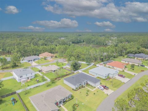 A home in PALM COAST