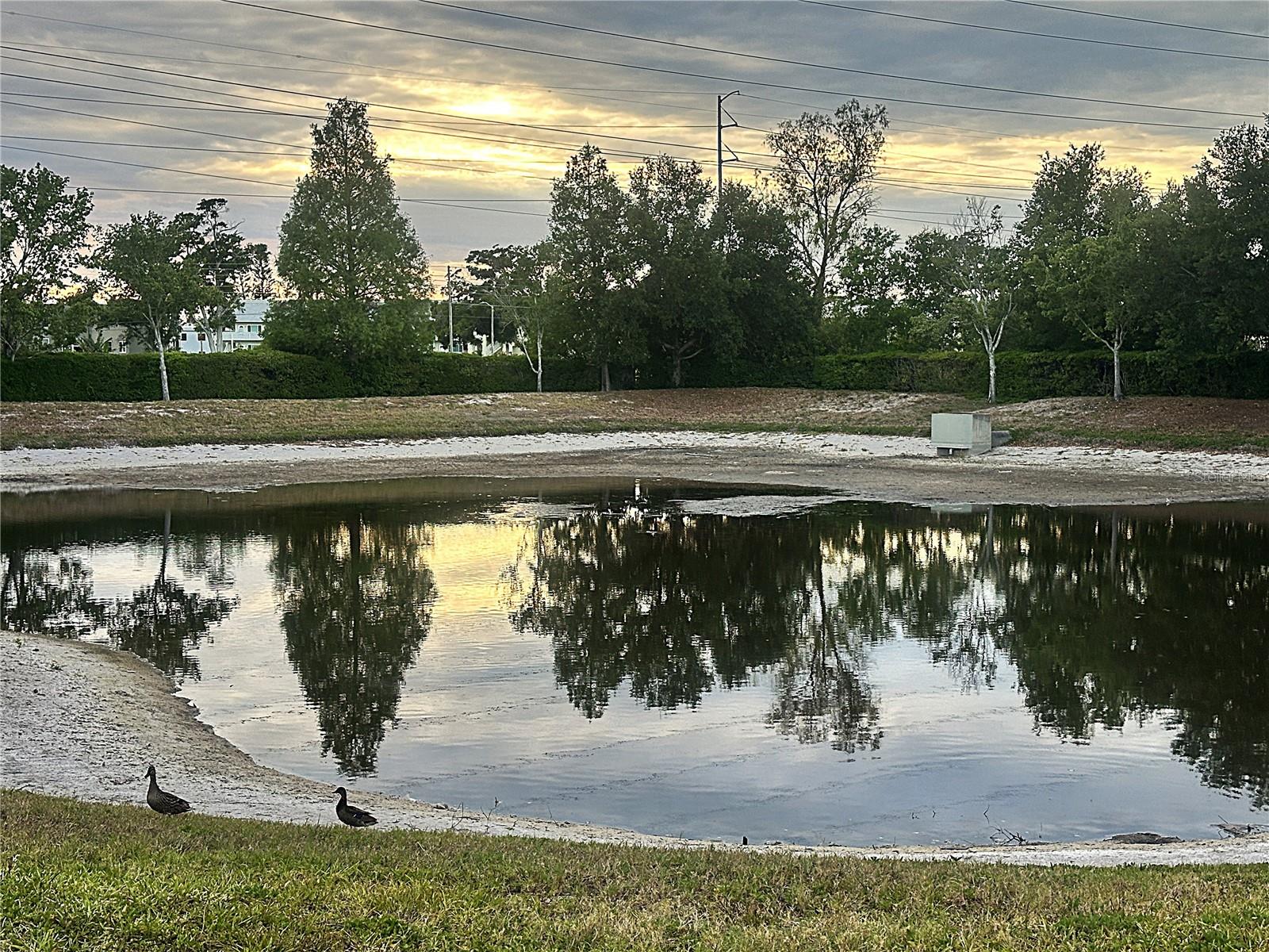 SUNSET POINTE TWNHMS - Residential