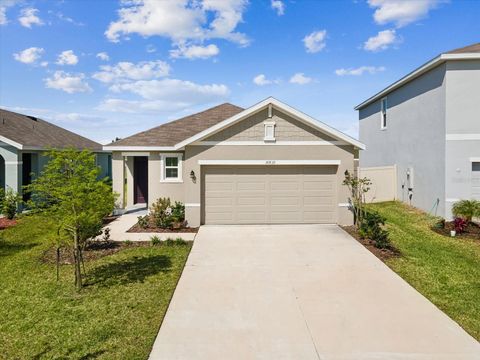 30839 PENNY SURF LOOP WESLEY CHAPEL FL 33545