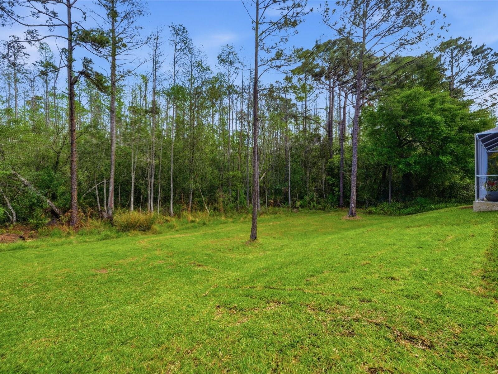 CHEVAL WEST - Residential