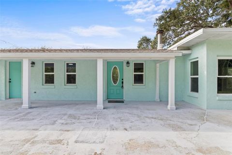 A home in FLAGLER BEACH