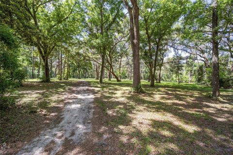 Tiny photo for 4850 SE 11th Avenue, Ocala, FL 34480 (MLS # OM677365)