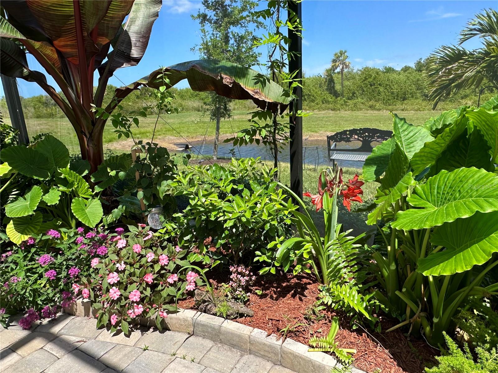 COCO BAY - Residential