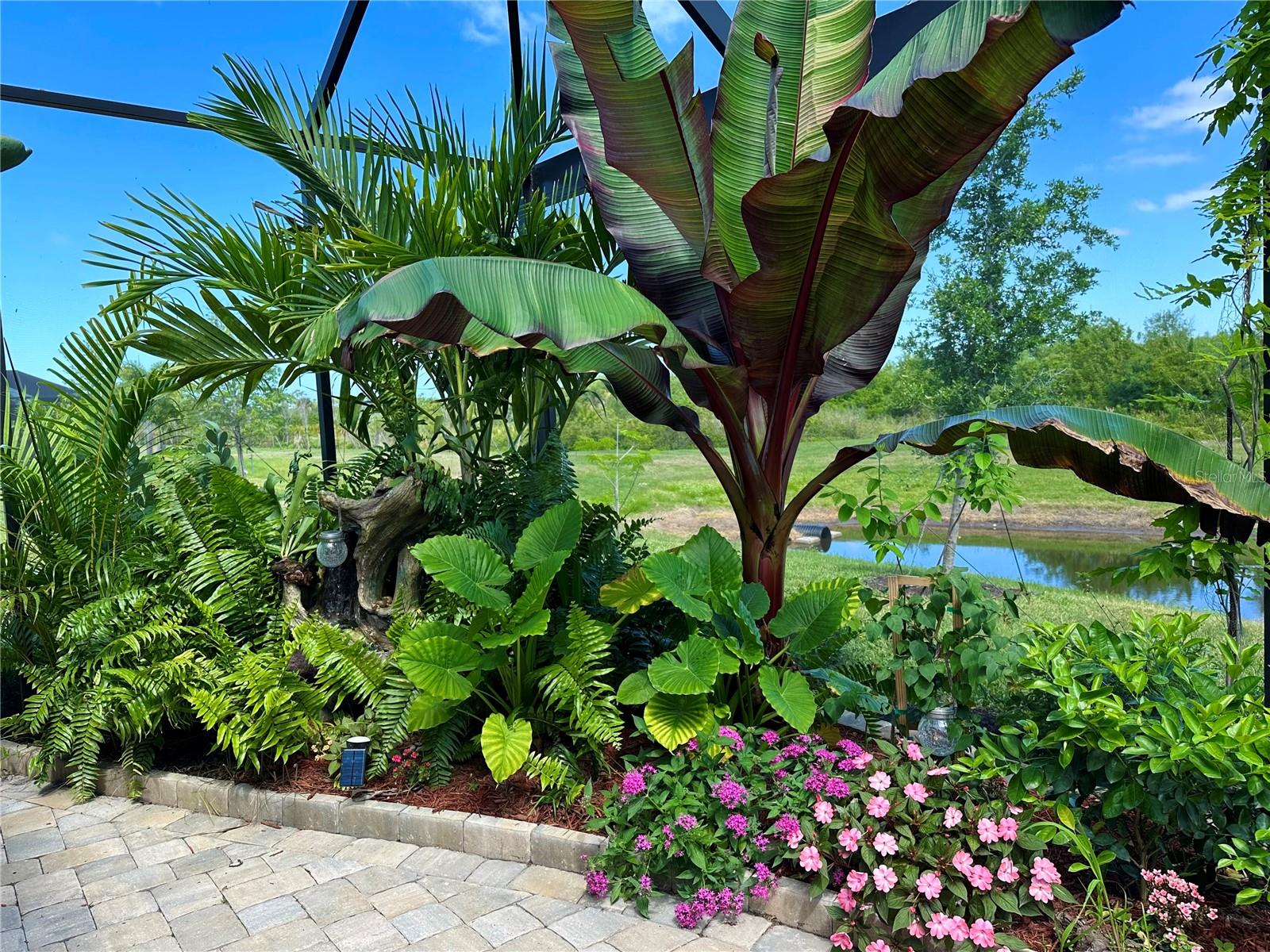 COCO BAY - Residential