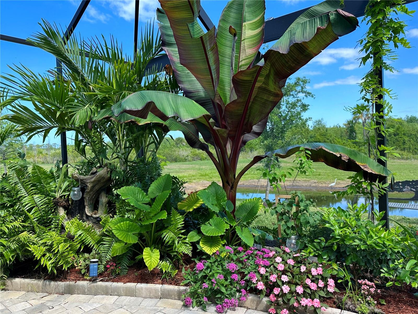 COCO BAY - Residential