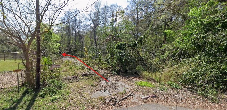 Owner Financing available!
Great opportunity to own affordable vacant land in New Port Richey with NO HOA and NO deed restrictions!