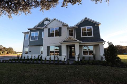 Photo of 17030 Overstory Drive, Orlando, FL 32820 (MLS # O6326393)