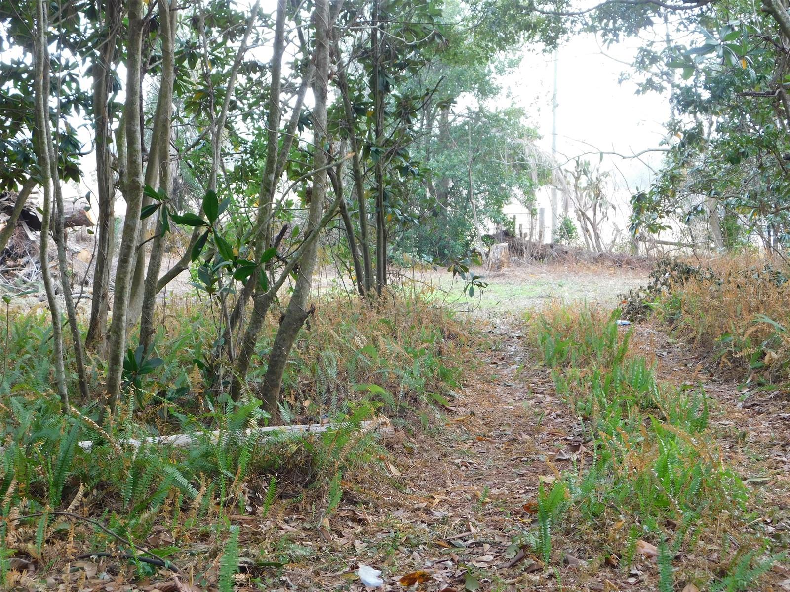 SHERWOOD FOREST - Residential