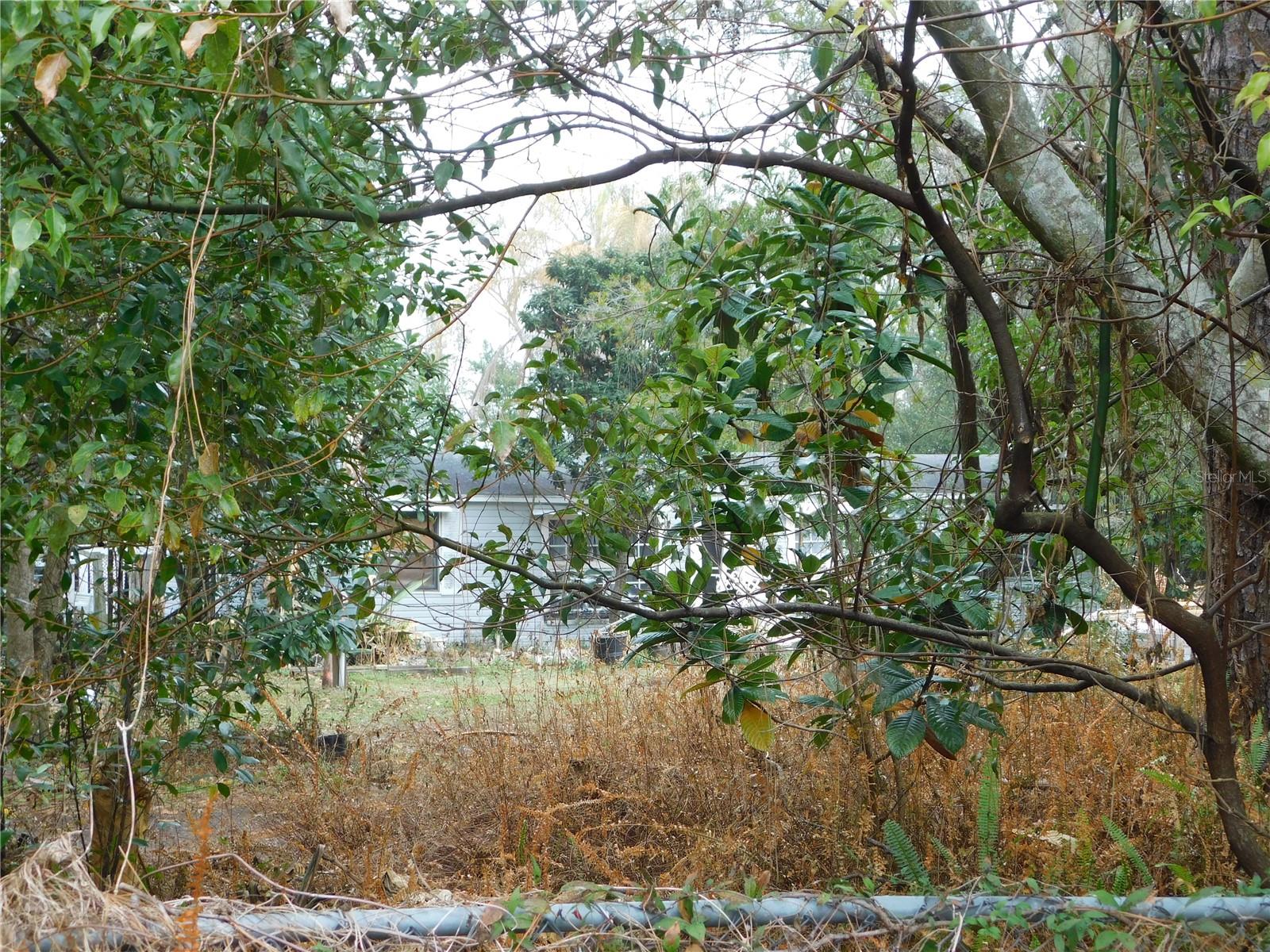 SHERWOOD FOREST - Residential