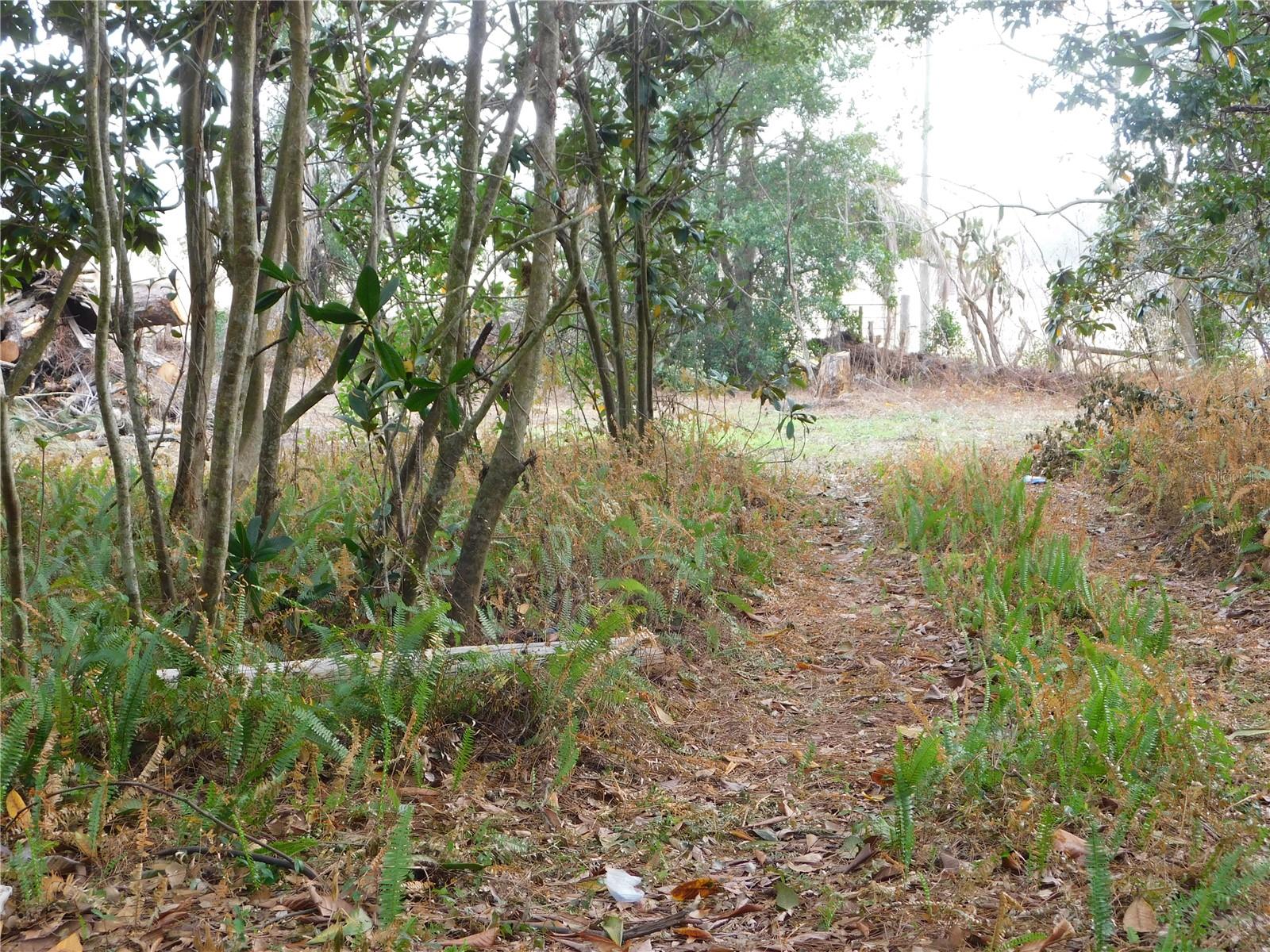 SHERWOOD FOREST - Residential