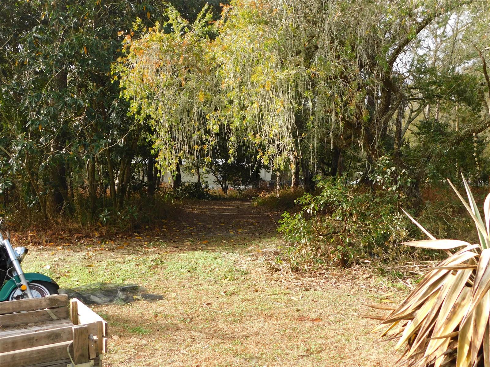 SHERWOOD FOREST - Residential