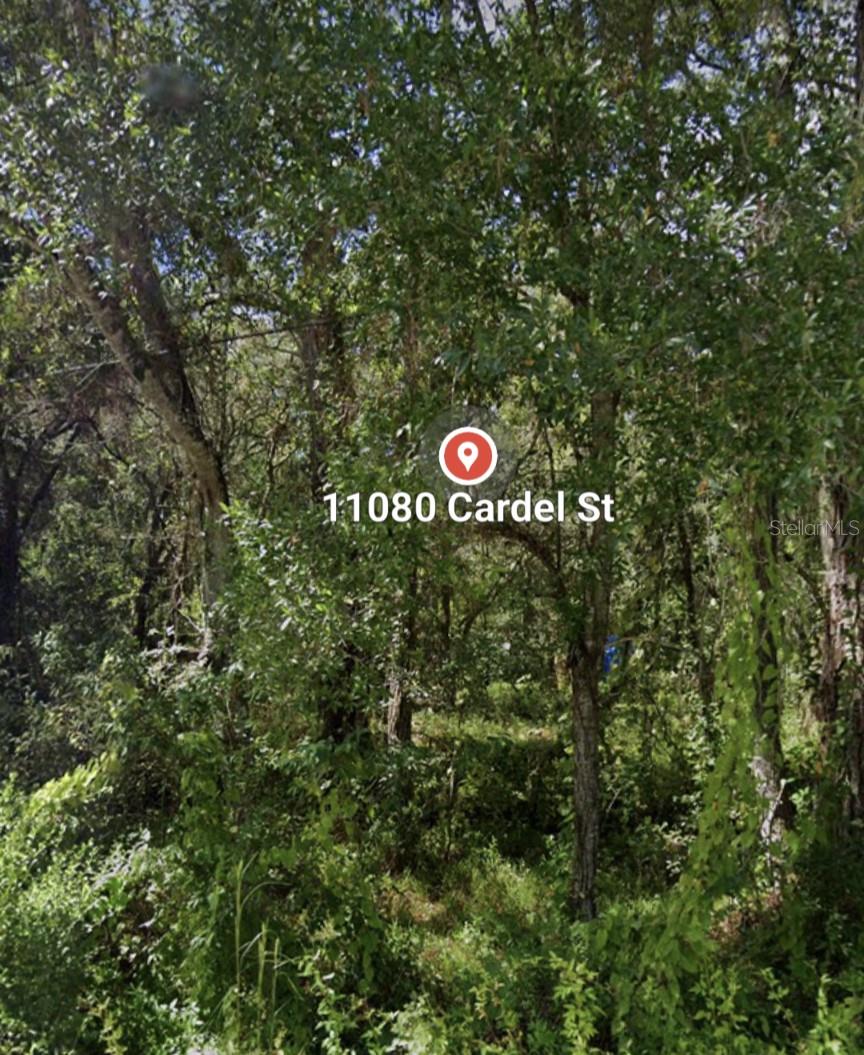 MOON LAKE ESTATES - Land