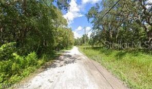 MOON LAKE ESTATES - Land