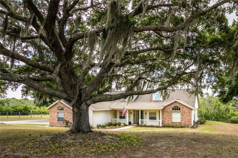 Tiny photo for 17728 Palm View Circle, Mount Dora, FL 32757 (MLS # G5103252)