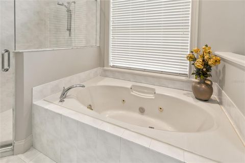 Tiny photo for 17728 Palm View Circle, Mount Dora, FL 32757 (MLS # G5103252)