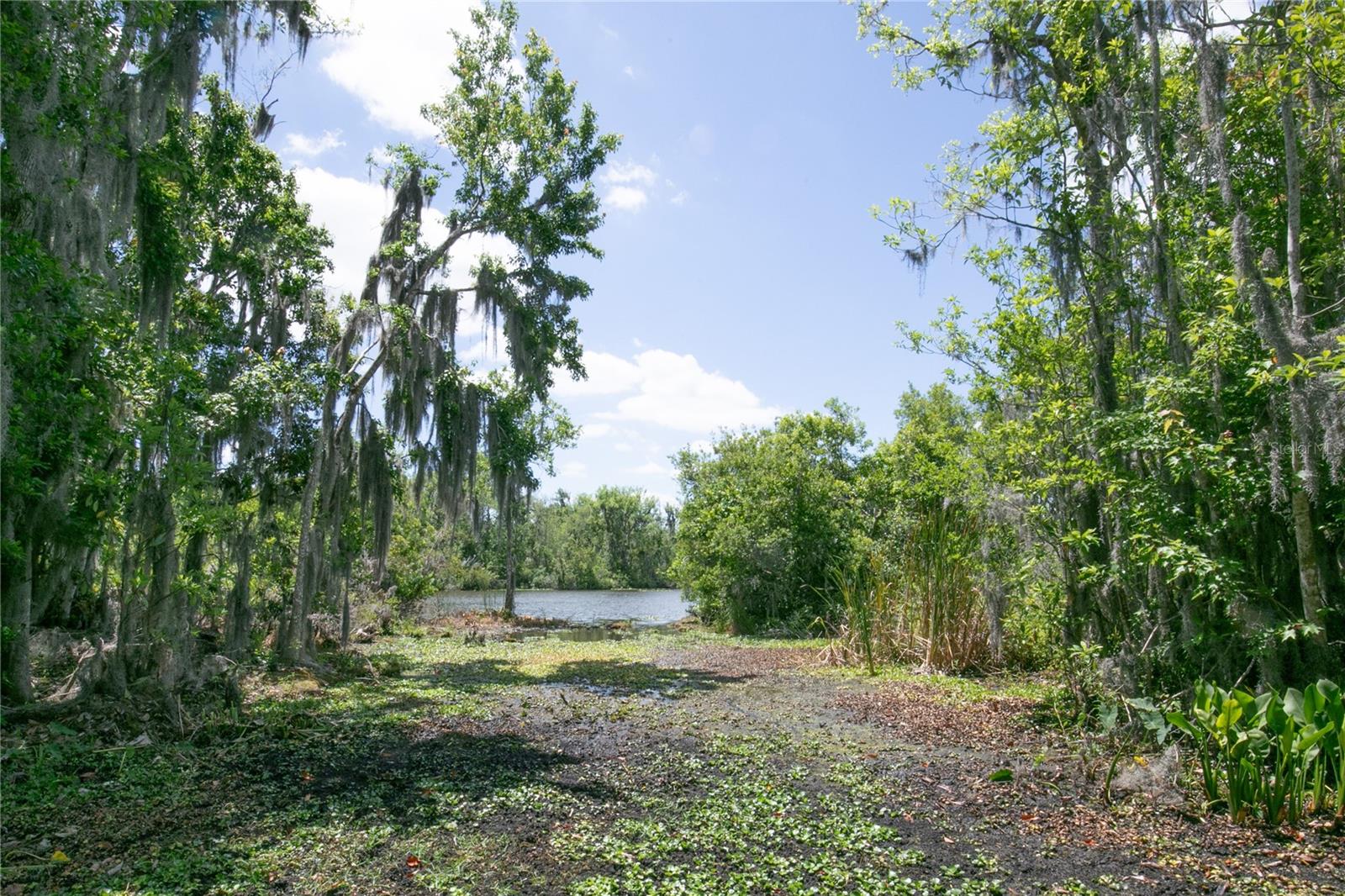 PALM VIEW ACRES SUB - Residential