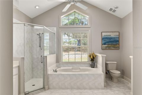 Tiny photo for 17728 Palm View Circle, Mount Dora, FL 32757 (MLS # G5103252)