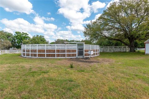 Tiny photo for 4450 SE 216th Avenue, Morriston, FL 32668 (MLS # OM698007)