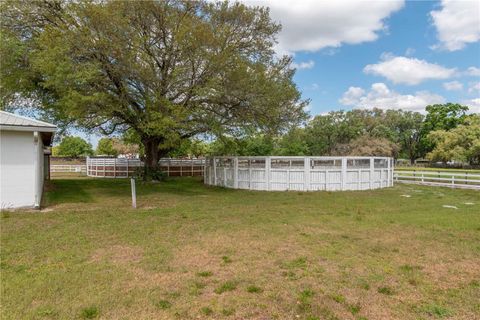 Tiny photo for 4450 SE 216th Avenue, Morriston, FL 32668 (MLS # OM698007)