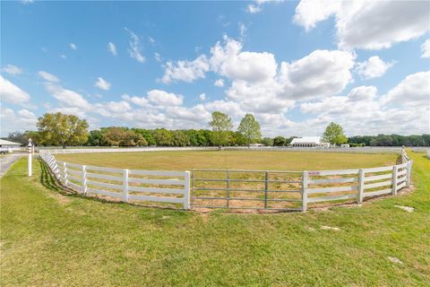 Tiny photo for 4450 SE 216th Avenue, Morriston, FL 32668 (MLS # OM698007)