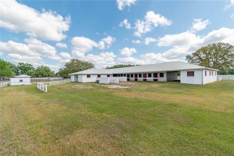 Tiny photo for 4450 SE 216th Avenue, Morriston, FL 32668 (MLS # OM698007)