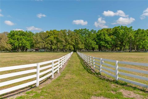 Tiny photo for 4450 SE 216th Avenue, Morriston, FL 32668 (MLS # OM698007)