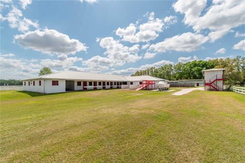 Tiny photo for 4450 SE 216th Avenue, Morriston, FL 32668 (MLS # OM698007)