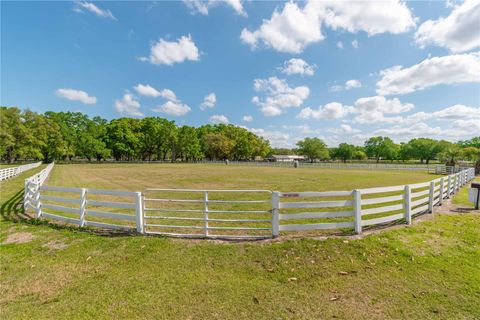 Tiny photo for 4450 SE 216th Avenue, Morriston, FL 32668 (MLS # OM698007)