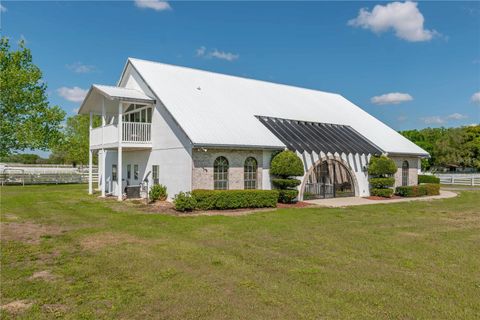 Tiny photo for 4450 SE 216th Avenue, Morriston, FL 32668 (MLS # OM698007)