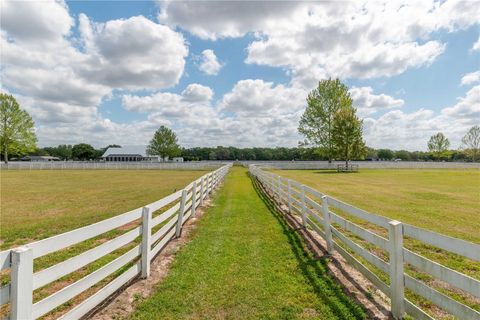 Tiny photo for 4450 SE 216th Avenue, Morriston, FL 32668 (MLS # OM698007)