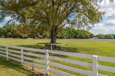 Tiny photo for 4450 SE 216th Avenue, Morriston, FL 32668 (MLS # OM698007)