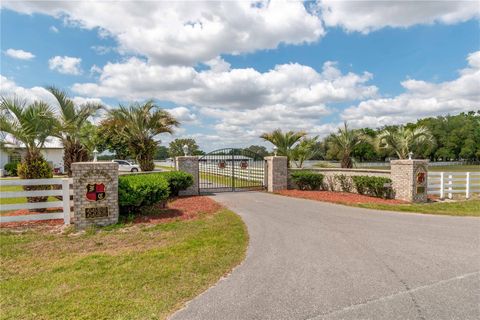 Tiny photo for 4450 SE 216th Avenue, Morriston, FL 32668 (MLS # OM698007)