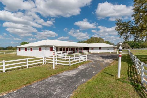 Tiny photo for 4450 SE 216th Avenue, Morriston, FL 32668 (MLS # OM698007)