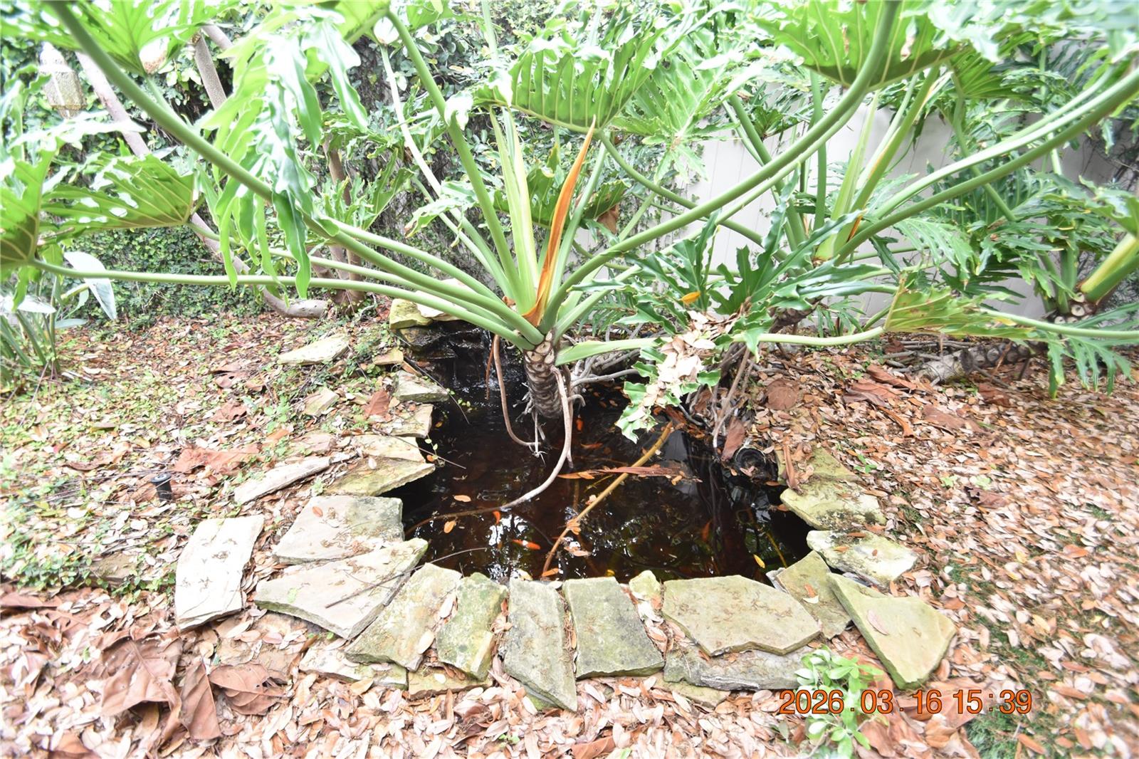 BYARS THOMPSON ADD DAVIS - Residential Lease