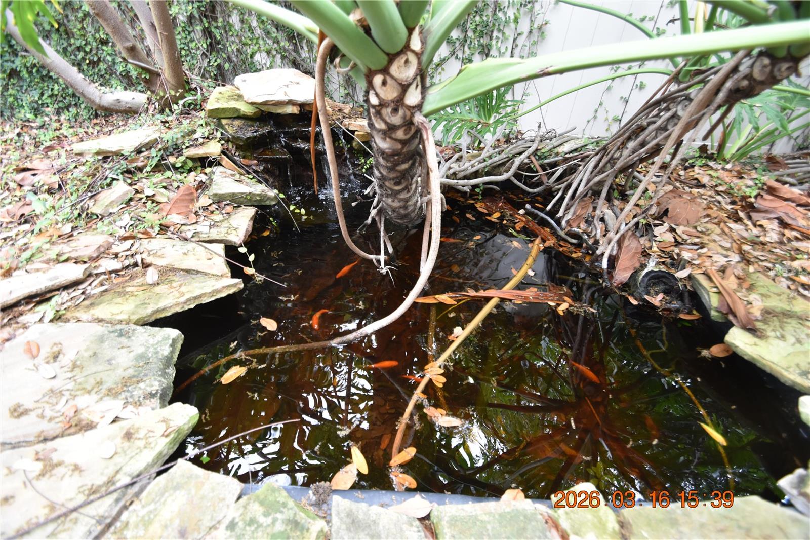 BYARS THOMPSON ADD DAVIS - Residential Lease