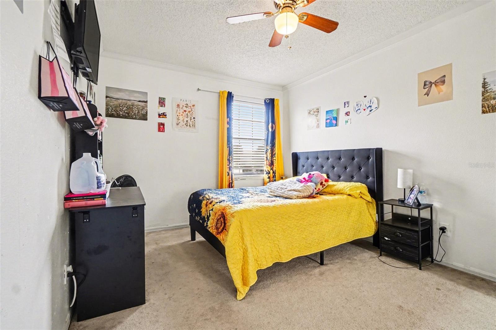 PIEDMONT PARK - Residential