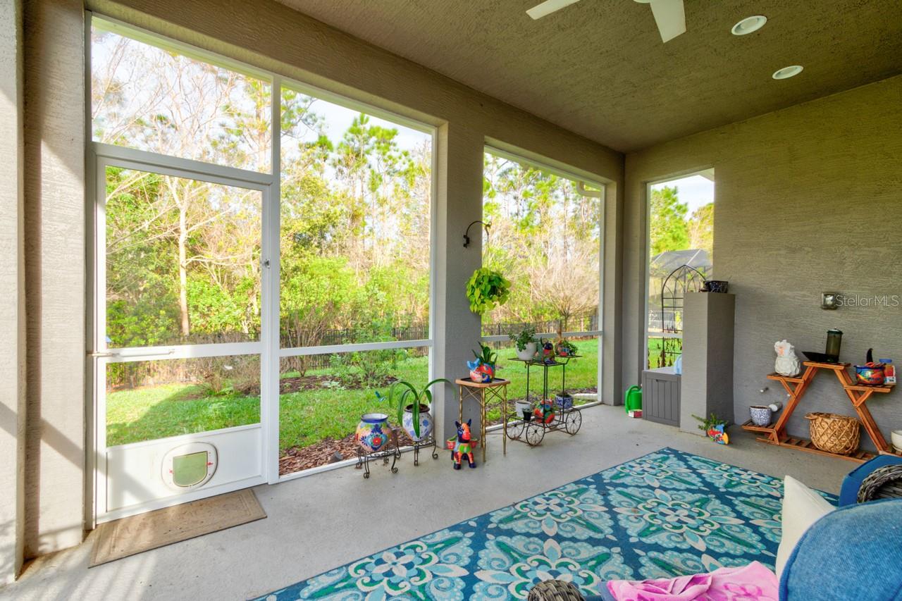 CHELSEA PLACE III - Residential