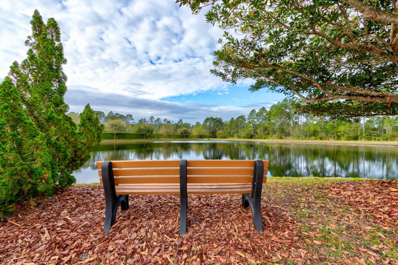 CHELSEA PLACE III - Residential