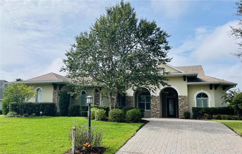 A home in LADY LAKE