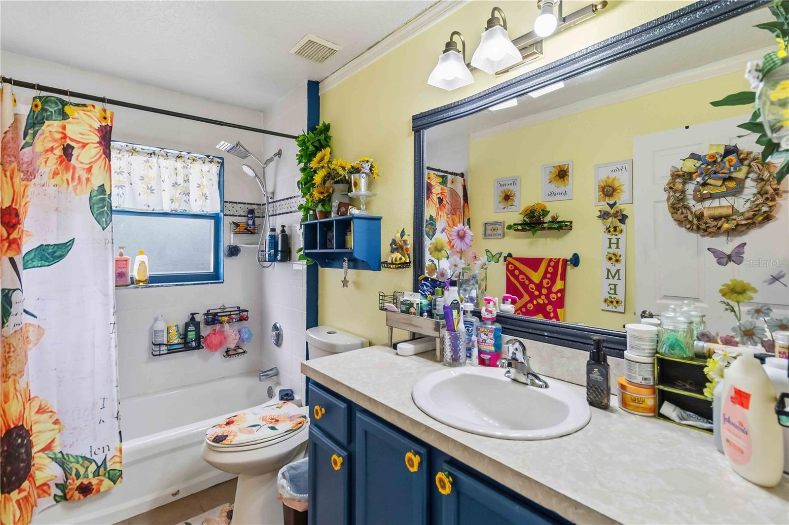 MOUNT PLYMOUTH - Residential