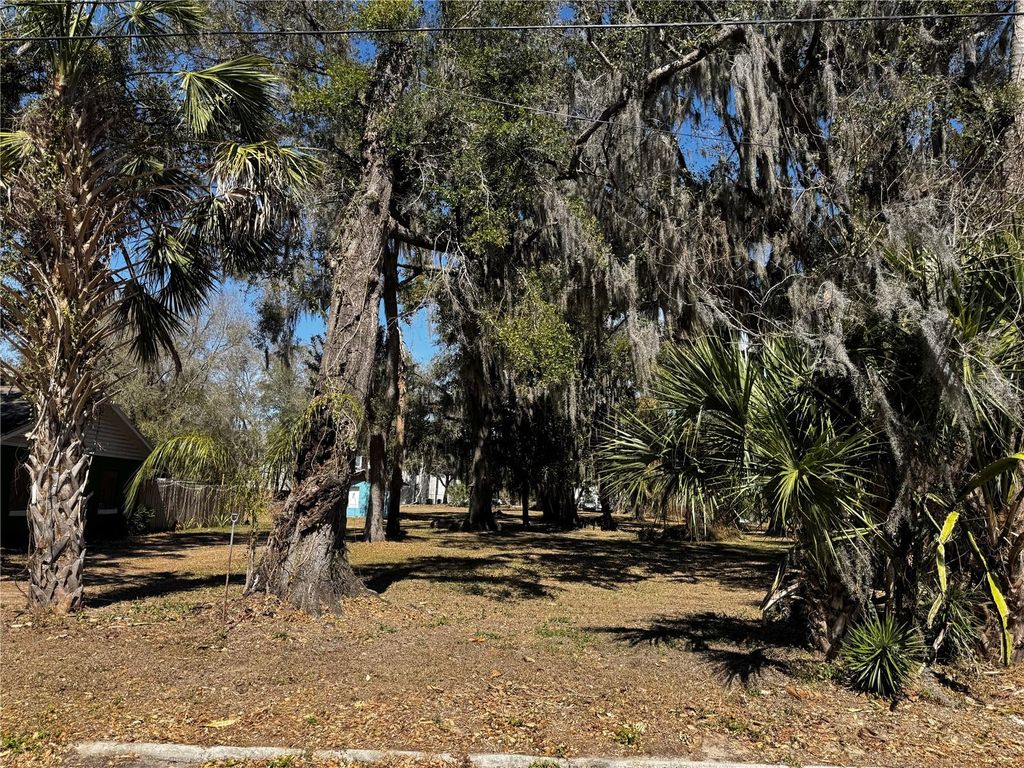 Photo of 1180 E Church Street, Bartow, FL 33830 (MLS # P4938071)