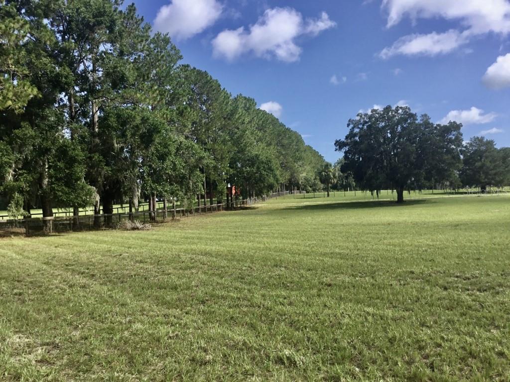 LAKE BONABLE ESTATES - Residential