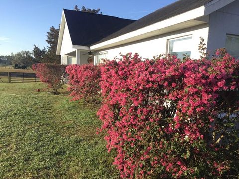 Tiny photo for 11951 SE 130th Court, Dunnellon, FL 34431 (MLS # TB8414543)