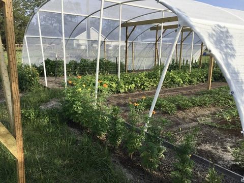 Tiny photo for 11951 SE 130th Court, Dunnellon, FL 34431 (MLS # TB8414543)