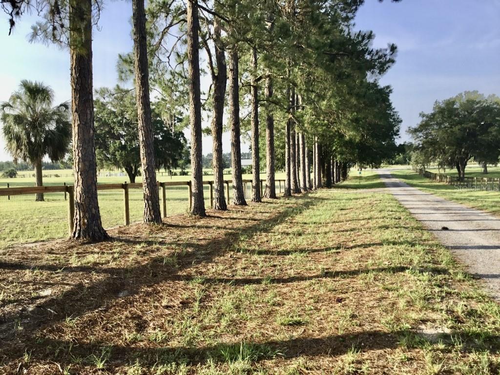 LAKE BONABLE ESTATES - Residential