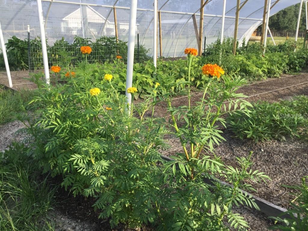 LAKE BONABLE ESTATES - Residential