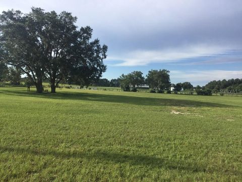 Tiny photo for 11951 SE 130th Court, Dunnellon, FL 34431 (MLS # TB8414543)
